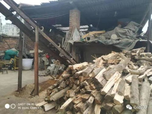 凯里炉山一木材加工厂非法经营被拆除
